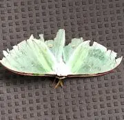 ふつうの画像