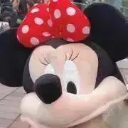 Rinの画像