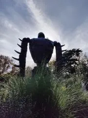 sugiの画像