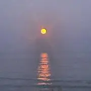 momeの画像