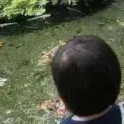 そまり