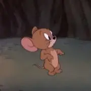 37