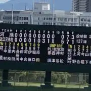 ヒヨコカーテンの画像