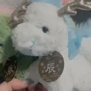 たたの画像