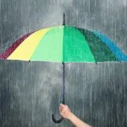 Rain 7/8-8/31発送できませんの画像
