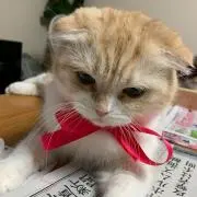 エムの画像