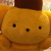 KANONの画像