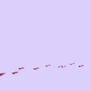 ちろ‪ ꪔ̤ (無言取引❌)の画像