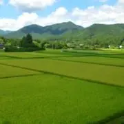 水夫は嵐に夢を見る