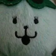takipo