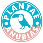 plantae_anubiasの画像