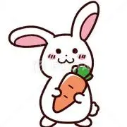 もっちの画像