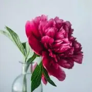るの画像