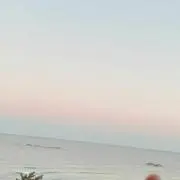 あゆ