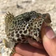 たっちゃん〜〜の画像
