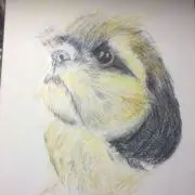 あっこ