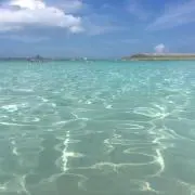 みやじゅん