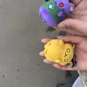 もちの画像