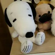 モニカの画像