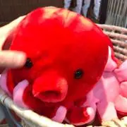 たこウィンナーさんの画像