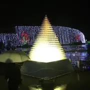 勇気の花