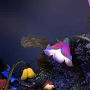 無言取引の画像