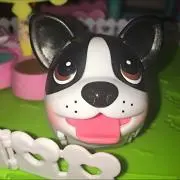 Ayuの画像