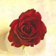 Anne