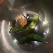 ( ◠‿◠ )の画像