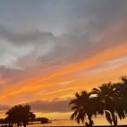 Mahの画像