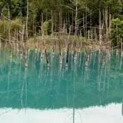 らんらん＊*の画像