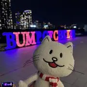 茶葉二倍