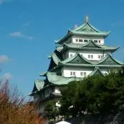 ココの画像