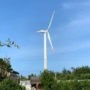 テリー