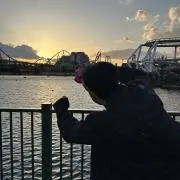 ポンポの画像
