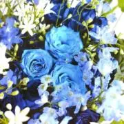 AYP☆プロフィール文は開いて読んで❣の画像