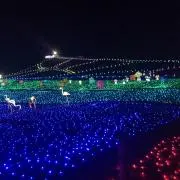 くう