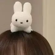 nの画像