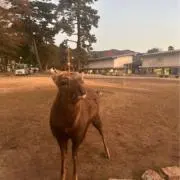 freen88の画像