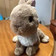 うさぎの画像
