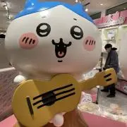 まるちゃんの画像
