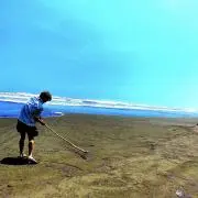 あられの画像