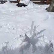 ぴなつ。