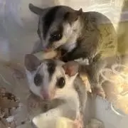 もっち＊断捨離中の画像