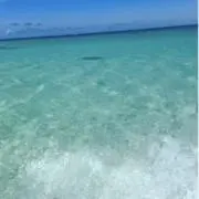 じゅんの画像
