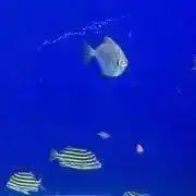 神谷葵※仕事の為対応遅有＋次発送6日夜の画像