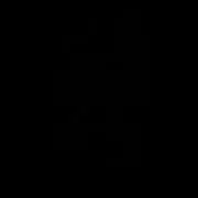 にゃんちゃん