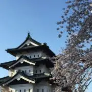 さくら