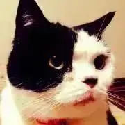 ゆかりの画像