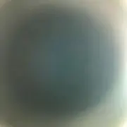 コロダロの画像